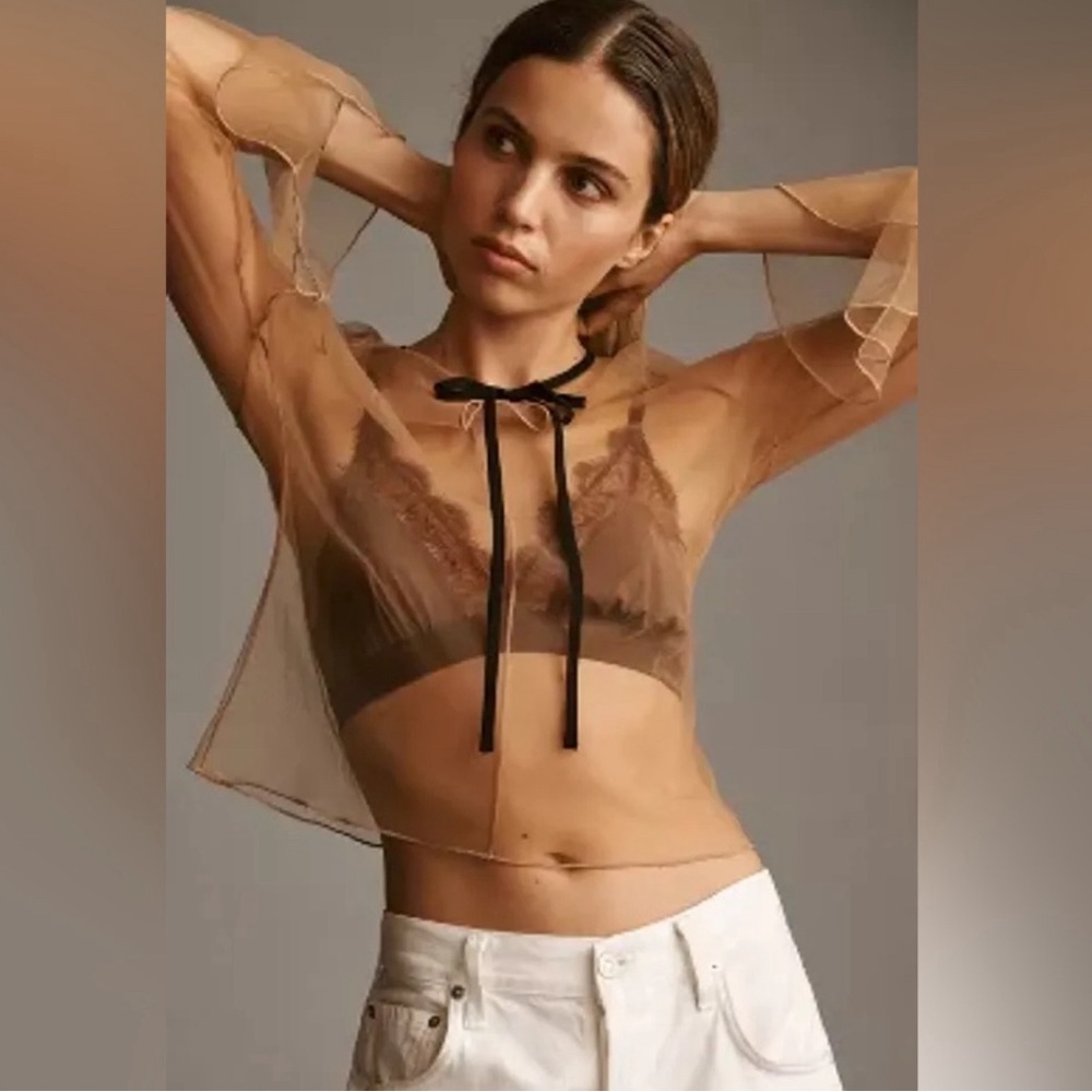 Anthro Sheer Nude Mesh Blouse